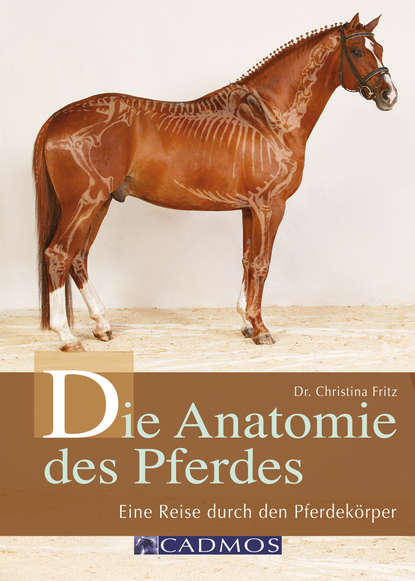 Die Anatomie des Pferdes (Dr. Christina  Fritz). 