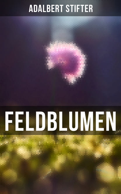 Adalbert Stifter - Feldblumen