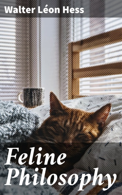 

Feline Philosophy
