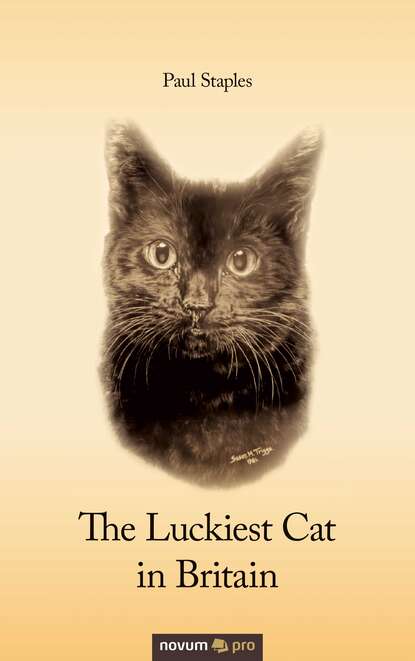 The Luckiest Cat in Britain