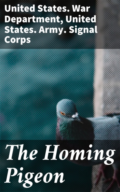 

The Homing Pigeon