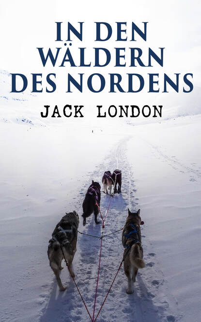 Jack London - In den Wäldern des Nordens