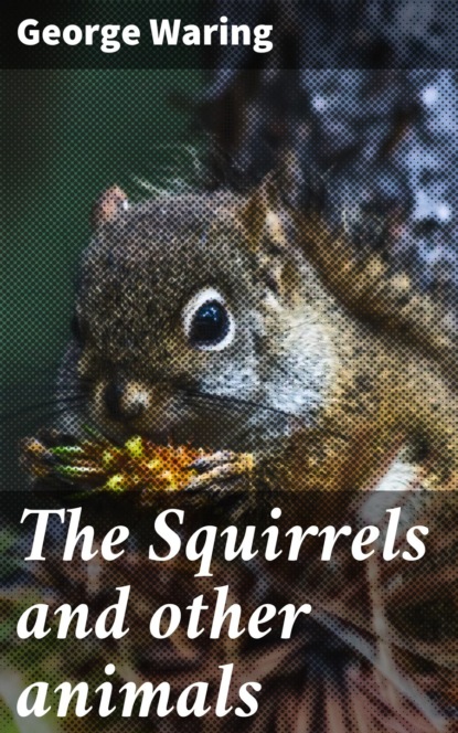 

The Squirrels and other animals