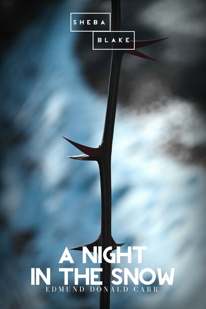

A Night in the Snow