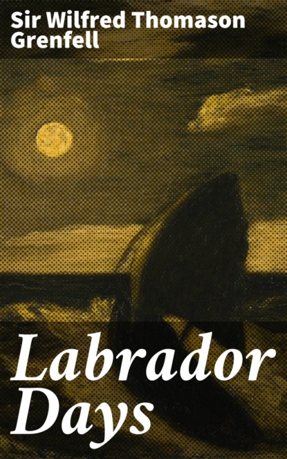 

Labrador Days