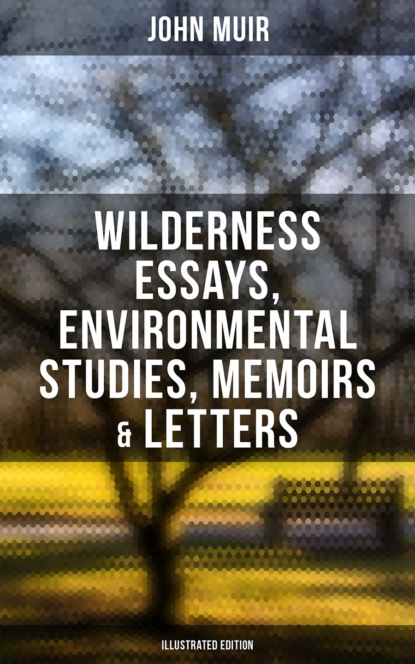 John Muir - John Muir: Wilderness Essays, Environmental Studies, Memoirs & Letters  (Illustrated Edition)