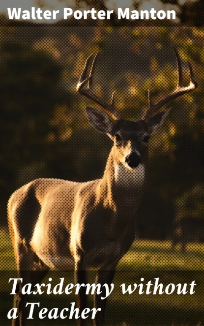 

Taxidermy without a Teacher