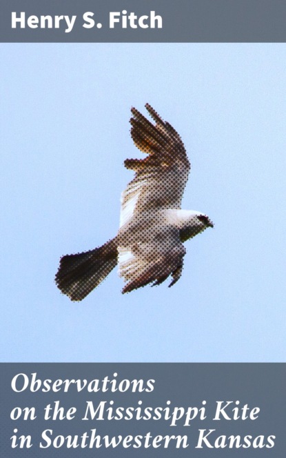 

Observations on the Mississippi Kite in Southwestern Kansas
