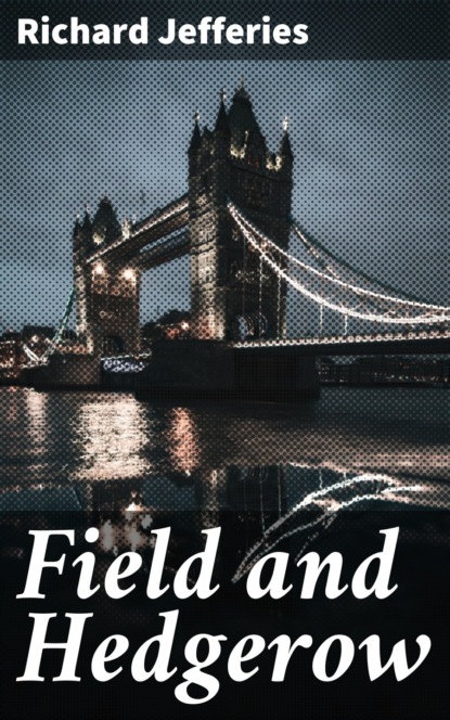 

Field and Hedgerow