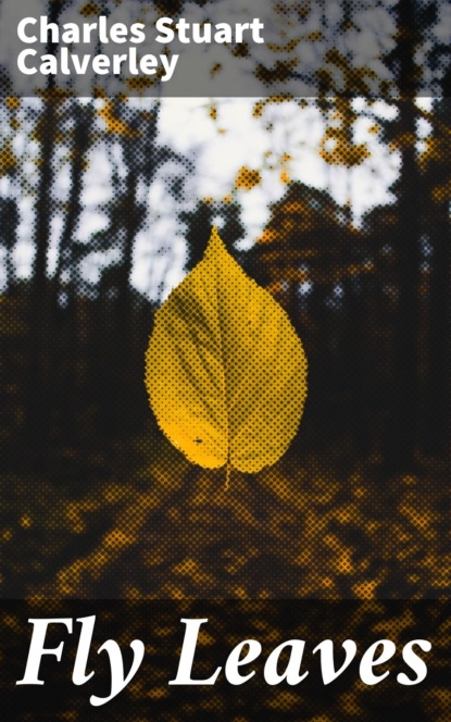 

Fly Leaves