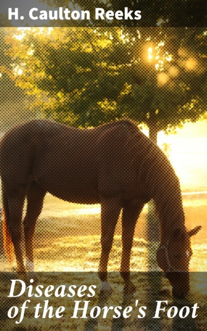 

Diseases of the Horse's Foot