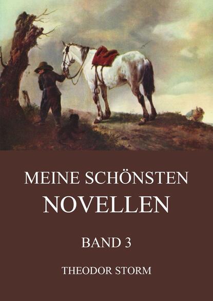 Theodor Storm - Meine schönsten Novellen, Band 3