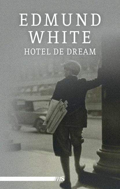 Обложка книги Hotel de Dream, Edmund  White