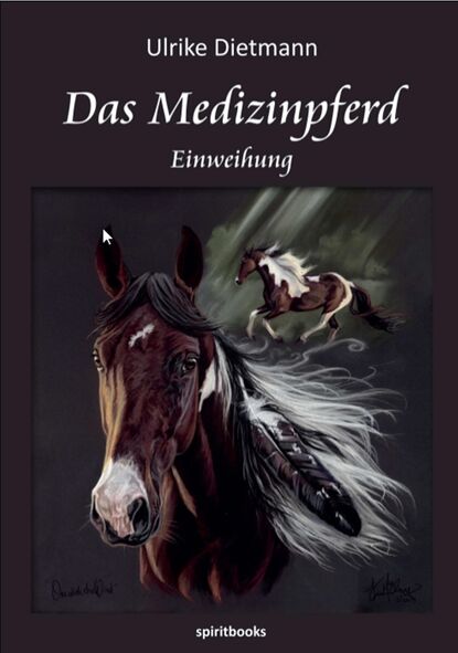 Das Medizinpferd (Ulrike Dietmann). 