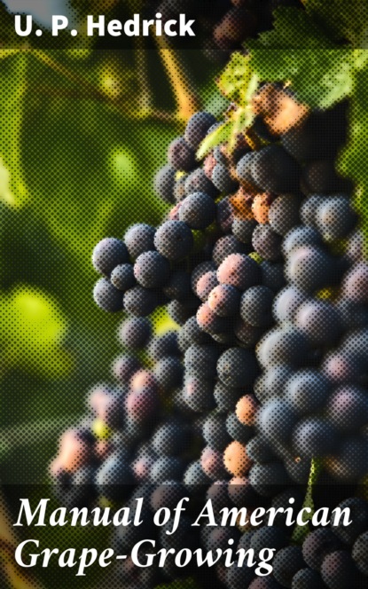 

Manual of American Grape-Growing