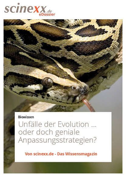 Dieter Lohmann - Unfälle der Evolution