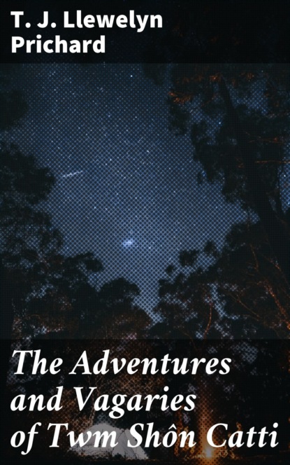 

The Adventures and Vagaries of Twm Shôn Catti