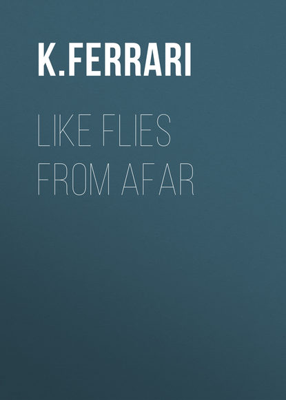 K. Ferrari — Like Flies from Afar