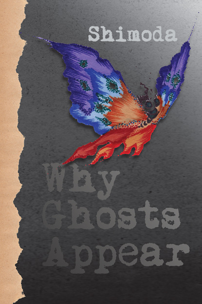 Todd Shimoda — Why Ghosts Appear