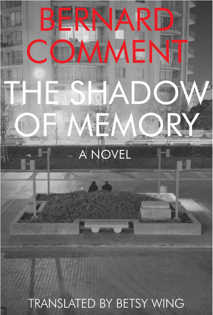 Bernard  Comment - The Shadow of Memory