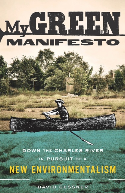 

My Green Manifesto
