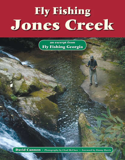 David Cannon L. - Fly Fishing Jones Creek