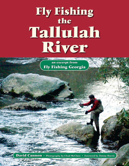 

Fly Fishing the Tallulah River