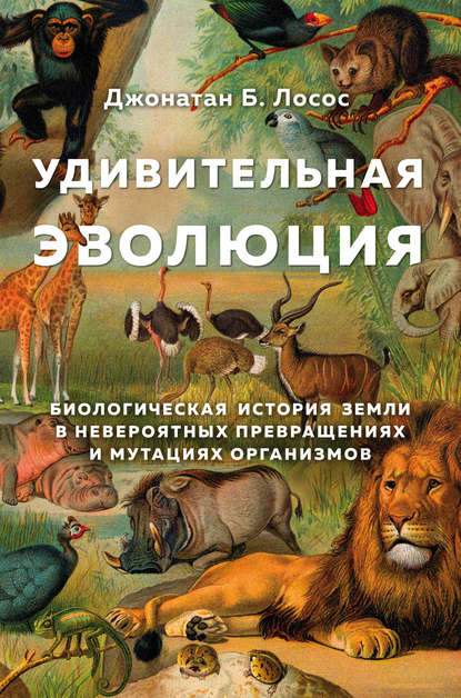 Джонатан Б. Лосос - Удивительная эволюция. Биологическая история Земли в невероятных превращениях и мутациях организмов