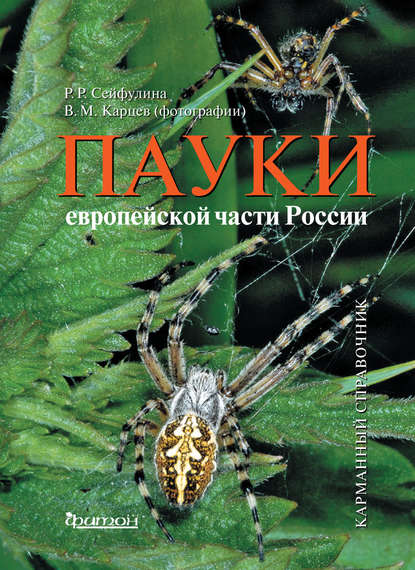 

Пауки европейской части России. Карманный справочник