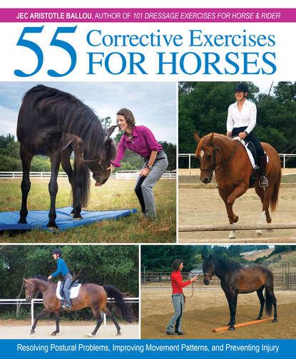 Jec Aristotle Ballou - 55 Corrective Exercises for Horses