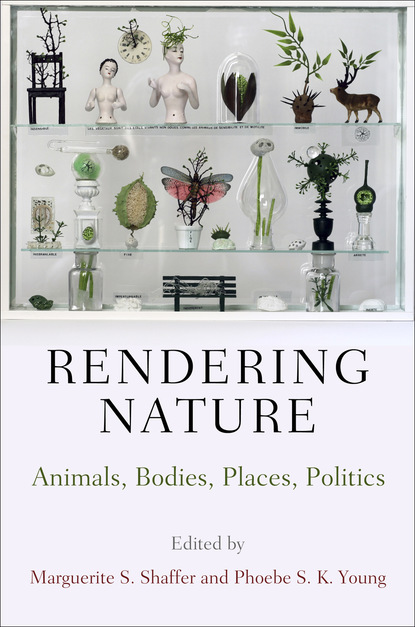 

Rendering Nature