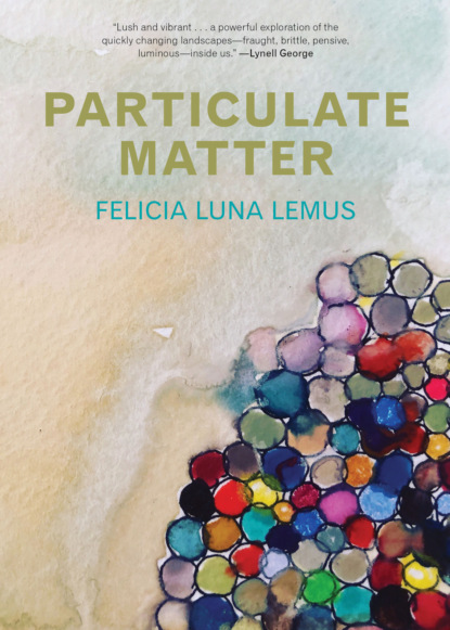 Felicia Luna Lemus - Particulate Matter