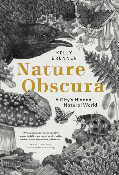 

Nature Obscura