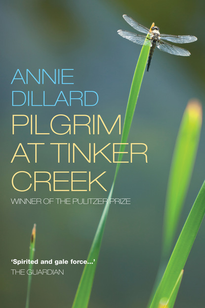 Annie Dillard - Pilgrim at Tinker Creek