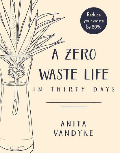 Anita Vandyke — A Zero Waste Life