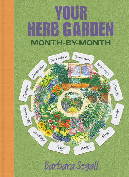 

Your Herb Garden