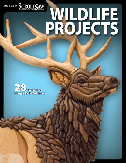 Lora S. Irish — Wildlife Projects