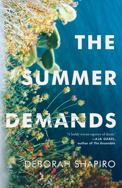 Deborah Shapiro — The Summer Demands