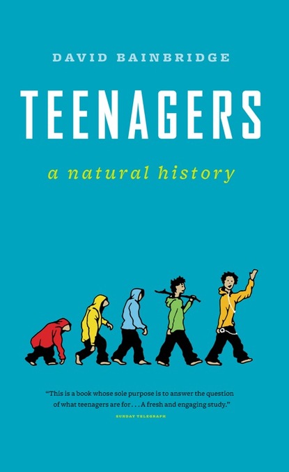 David  Bainbridge - Teenagers