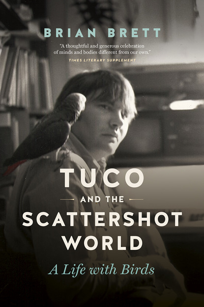 

Tuco and the Scattershot World