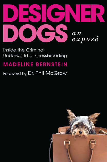 Madeline Bernstein - Designer Dogs: An Exposé