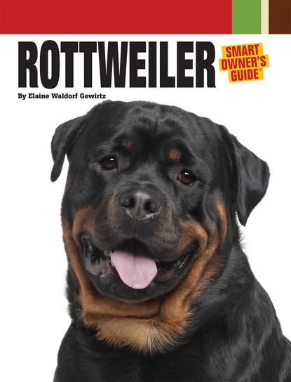 Elaine Waldorf Gewirtz - Rottweiler