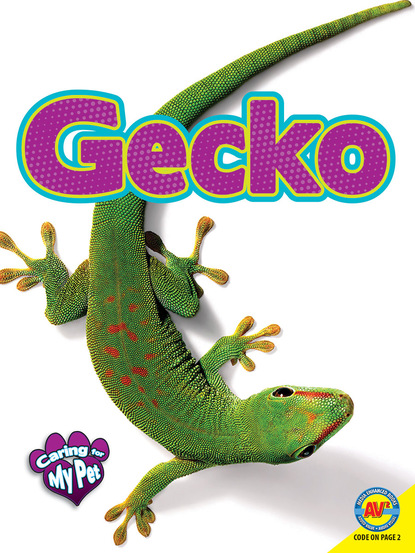 

Gecko