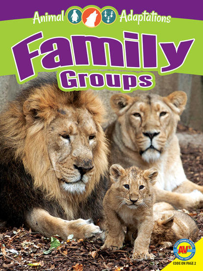 

Family Groups