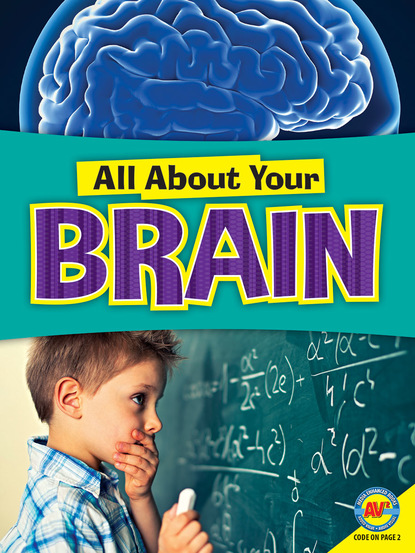 

Brain