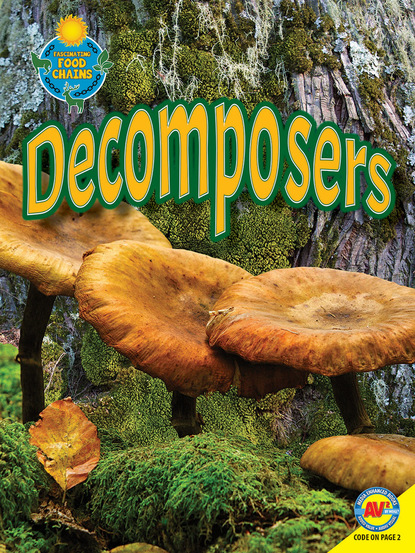 

Decomposers