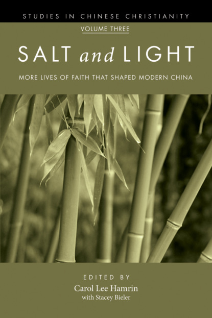 

Salt and Light, Volume 3