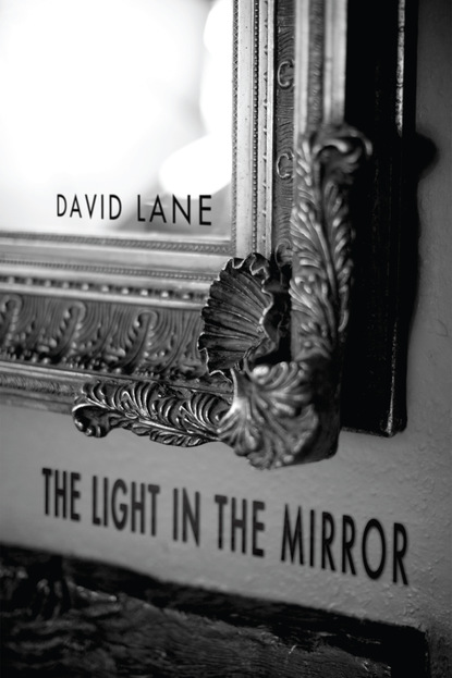 David I. Lane - The Light in the Mirror