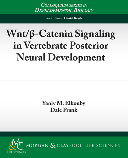 

Wnt/-Catenin Signaling in Vertebrate Posterior Neural Development