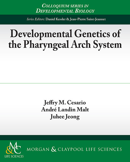 

Developmental Genetics of the Pharyngeal Arch System